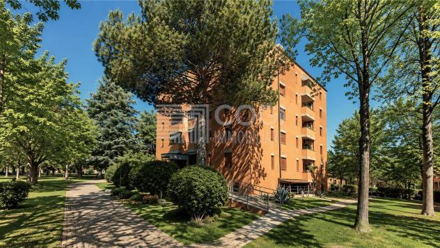IMOLA - SOLUZIONE AMPIA E LUMINOSA NEL CUORE DELLA PEDAGNA - Foto 2