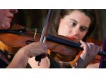 Quartetto d'archi ad Alessandria (musica per matrimoni ed eventi)