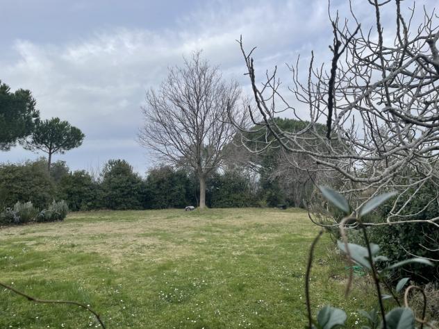 Rustico in vendita a Castagneto Carducci - Foto 5