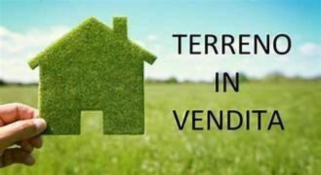 VICINANZE MONTECCHIO VENDESI LOTTI DI TERRENO EDIFICABILE GIA' LOTTIZZATI