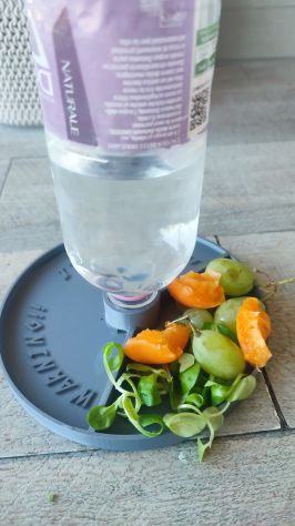 Mangiatoia beverino per tartarughe - Foto 4
