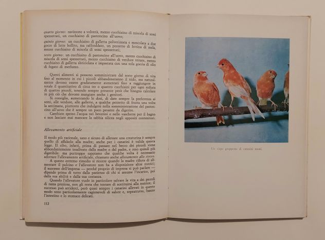 L’allevamento moderno dei Canarini di Marina Roberti Ed.De Vecchi 1972 - Foto 4