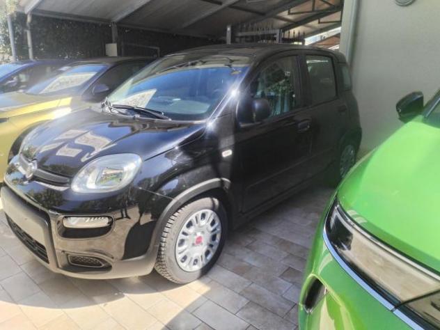 Fiat Panda 1.0 FireFly S&S Hybrid - Foto 2
