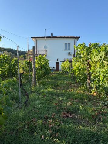 Casa singola in vendita a Isola - Luni 100 mq Rif: 1421435