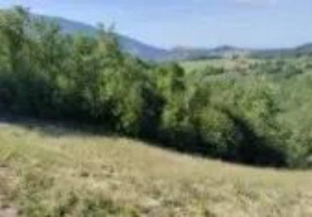 Immobile in asta di 13520 m² in vendita a Assisi - Foto 3