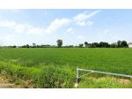Terreno di 19200 m² in vendita a Santa Maria di Sala