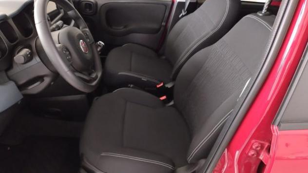 FIAT Panda Cross 1.0 FireFly S&S Hybrid - Foto 8