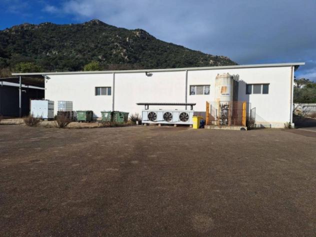 Immobile in asta di 1059 m² in vendita a Guspini - Foto 5