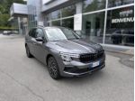 Skoda Kamiq 1.0 TSI 115 CV Black Dots