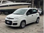 FIAT Panda 1.0 FireFly S&S Hybrid rif. 24088704