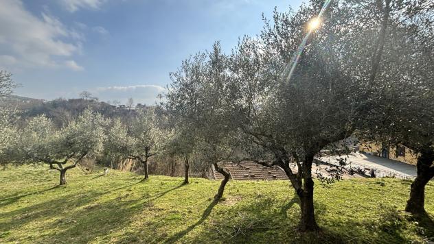Rustico/Casale/Corte - Alatri . Rif.: Cod. rif 3297841VRG - Foto 3