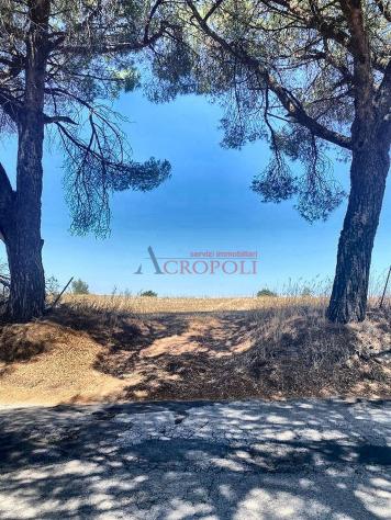 Terreno Agricolo - Rif. 2415