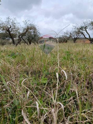 Terreno in vendita a Caltagirone, Santo Pietro - Foto 19