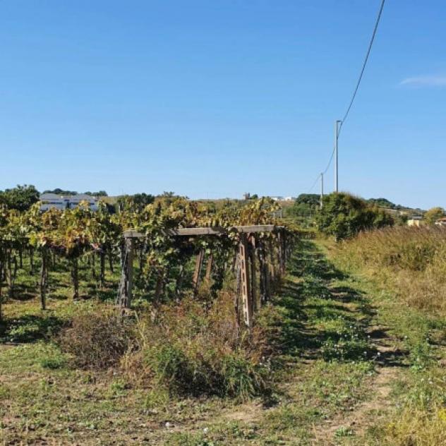 Immobile in asta di 5080 m² in vendita a Casalbordino - Foto 5
