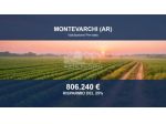 Immobile in asta di 785232 m² in vendita a Montevarchi