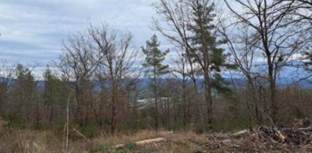 Immobile in asta di 1048270 m² in vendita a Piancastagnaio - Foto 2