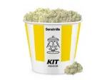 Indoor Adventure Kit 6g