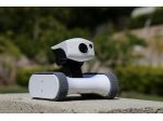 Robot sicurezza Appbot Riley