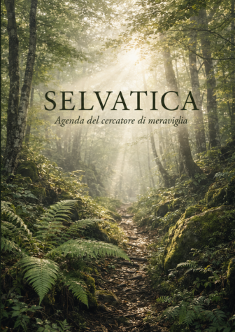 Trattamenti benessere e consulenze naturopatiche - Foto 2 Tel:3467380469