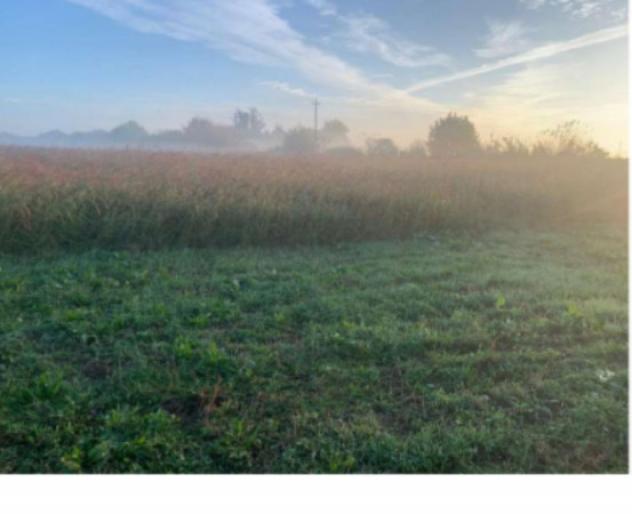Immobile in asta di 17 m² in vendita a Suzzara - Foto 12