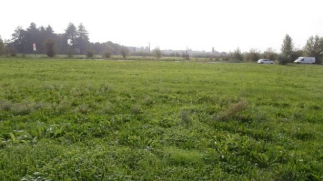 Immobile in asta di 5683 m² in vendita a Castenaso - Foto 12