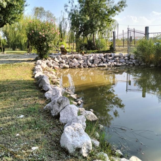 C031. CARPI CAMPAGNA. TERRENO AGRICOLO CON LAGETTO E CAPANNONCINO. - Foto 8