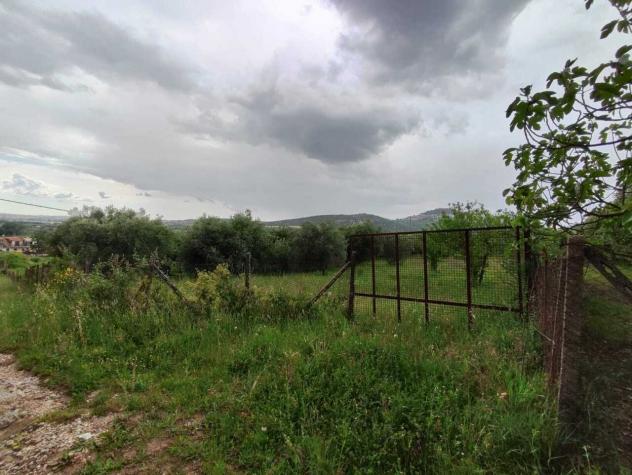 Area verde in vendita a Tivoli - Foto 6