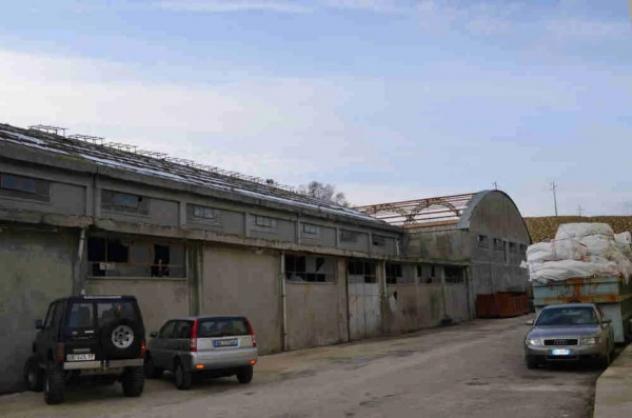 Immobile in asta di 118 m² in vendita a Montesilvano - Foto 3