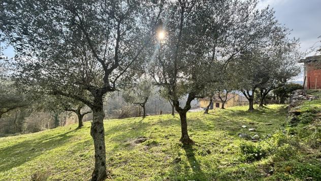 Rustico/Casale/Corte - Alatri . Rif.: Cod. rif 3297841VRG - Foto 10