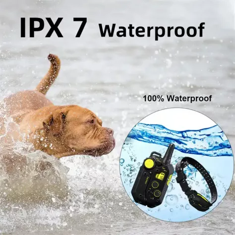 Collare di Addestramento  Professionale X CANI DA USARE ANCHE COME ANTI ABBAIO - Foto 5