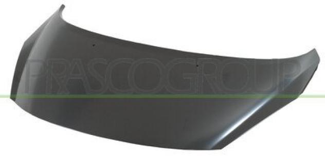 COFANO ANT.(in alluminio) PG4223100 Carrozzeria  Lamierati esterni  Cofano  Cofano ant. PEUGEOT - 307 - 2005  2008