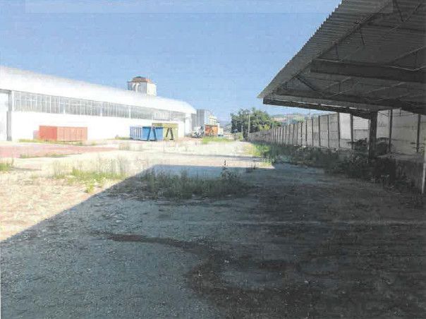 TERRENO 2.700 MQ TAVERNELLE (PU) - Foto 3
