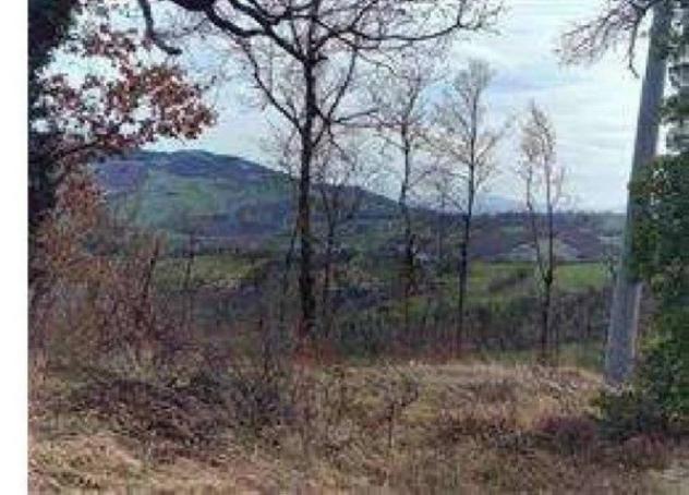 Immobile in asta di 26446 m² in vendita a Montecopiolo - Foto 2