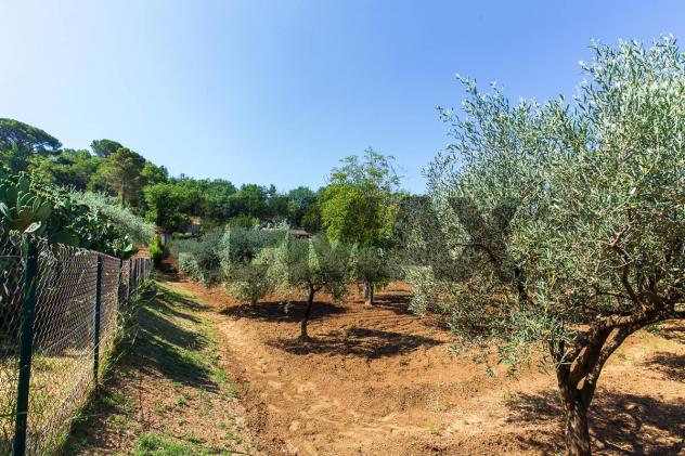 Villa singola in vendita a Piazza Armerina - Foto 14