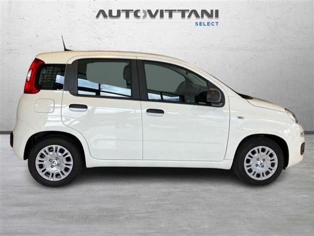 FIAT Panda Pandina 1.0 FireFly Hybrid 65cv Icon S&S 5p.ti rif. 24121707 - Foto 4