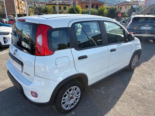 FIAT Panda 1.0 FireFly S&S Hybrid - Foto 7