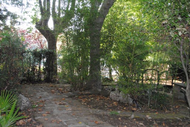 giardiniere manutentore giardini, spazi comuni