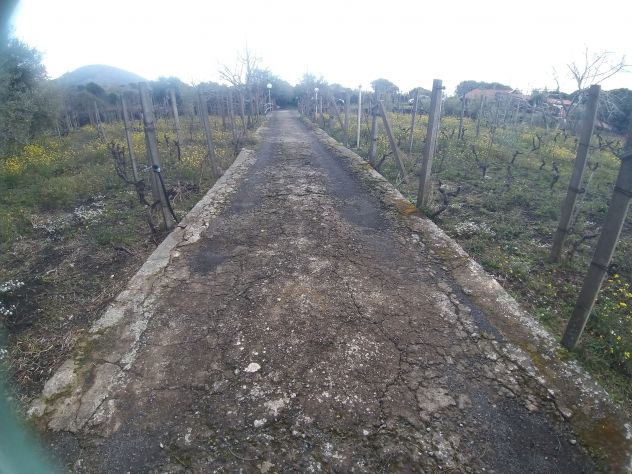 CODICE 6930 VILLA SINGOLA 260 MQ CON 4.870 MQ DI TERRENO A BELPASSO - Foto 2