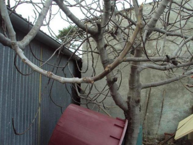 Immobile in asta di 170 m² in vendita a Montefalco - Foto 10