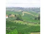 Affittacamere Albachiara