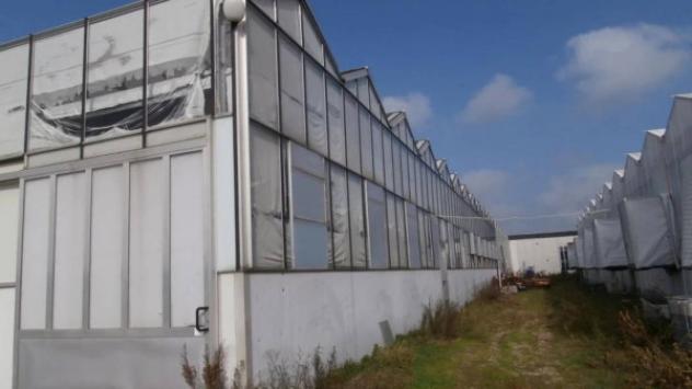 Immobile in asta di 5683 m² in vendita a Castenaso - Foto 2