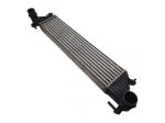 INTERCOOLER FIAT 500 L Serie (351_352) 51964106 330 A1.000 Diesel 1300 (12)