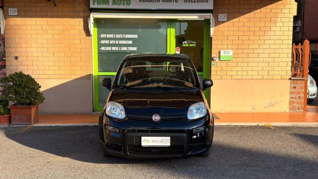 Fiat Panda 1.0 FireFly S&S Hybrid - Foto 2