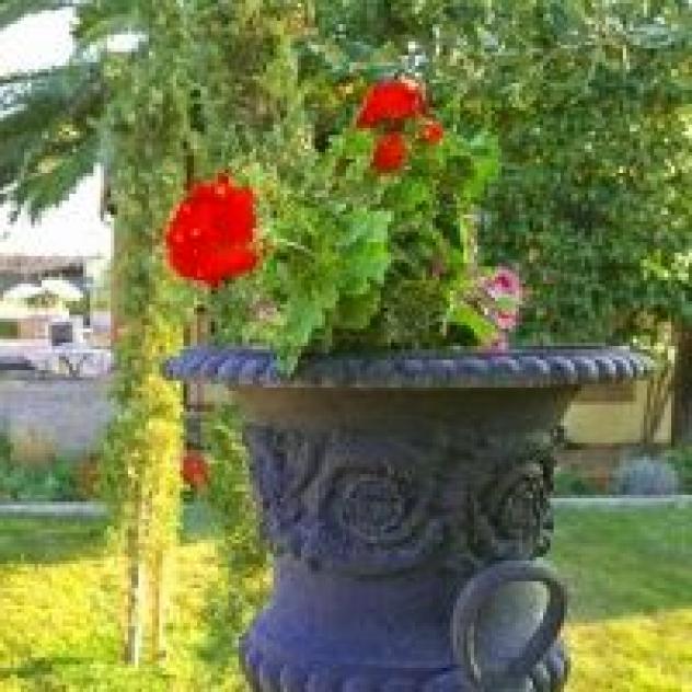 Borgo Dino S.r.l. - Foto 2