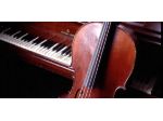 Violoncellista a Como, Svizzera Italiana, zone lago, Erba, ecc.