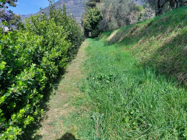 TERRENO AGRICOLO di 10000 mq (CAMAIORE - pieve di camaiore) rif. 1001 - Foto 17