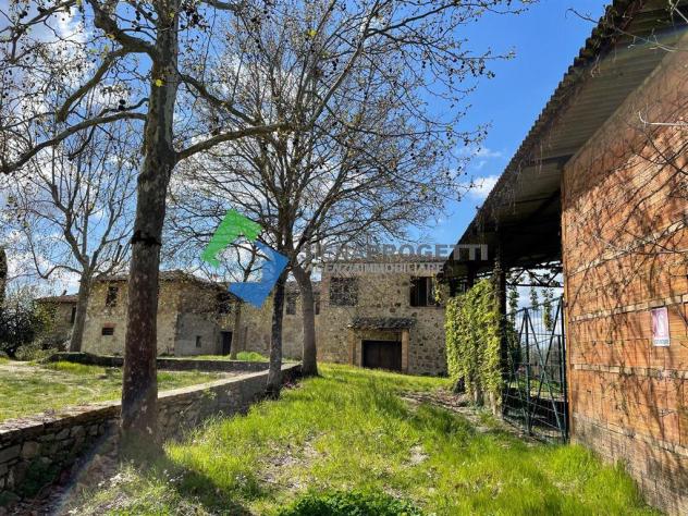 Antica colonica con azienda agricola a Castellina in Chianti, Siena. - Foto 14