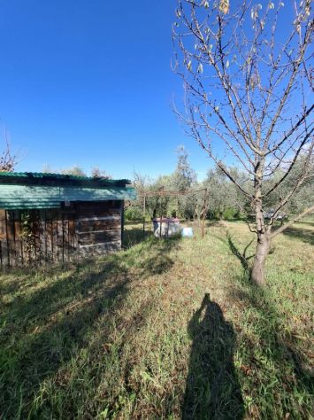 TERRENO AGRICOLO IN VENDITA Palombara Sabina (RM) - Foto 5
