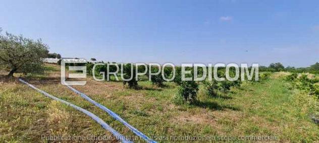 Fabbricati per attività agricole di 122 mq in vendita a Pisticci - Rif. 4541687 - Foto 3