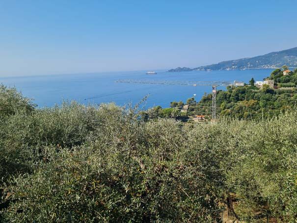 Ampia vista mare, appartamentino su 3 livelli con ampio terreno e parcheggio - Foto 5